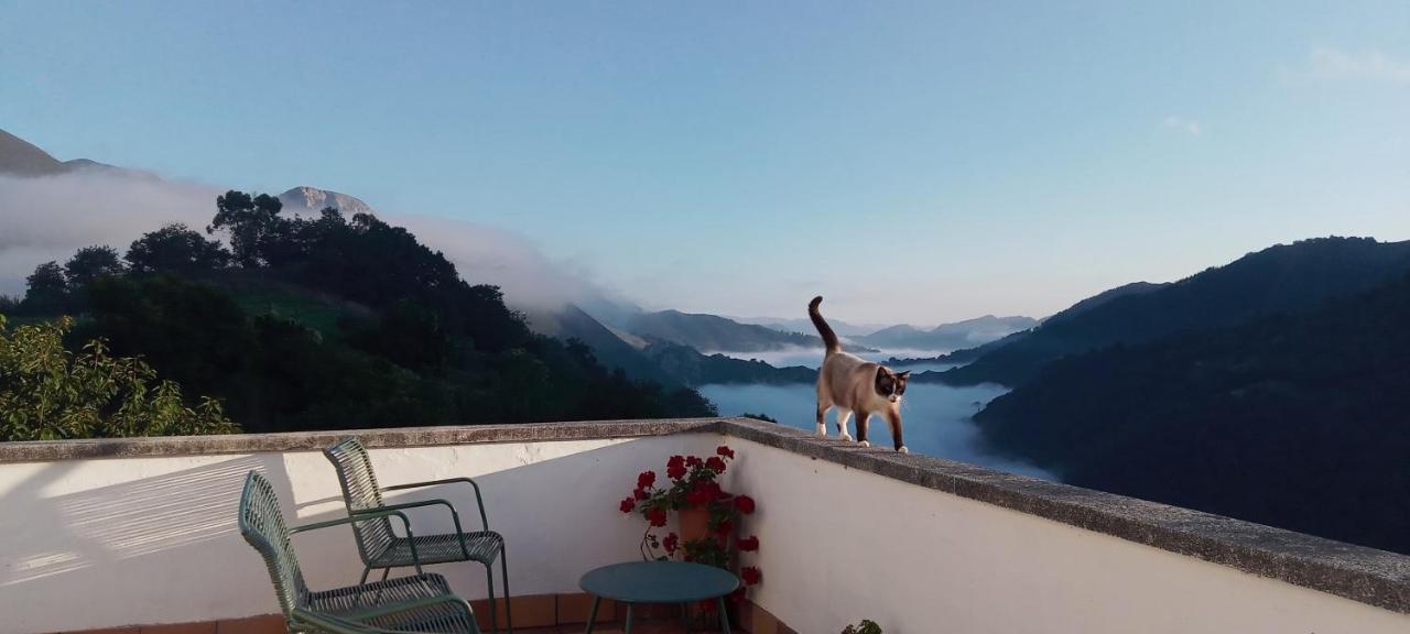 Bed and Breakfast Vis 101 Vista  Экстерьер фото