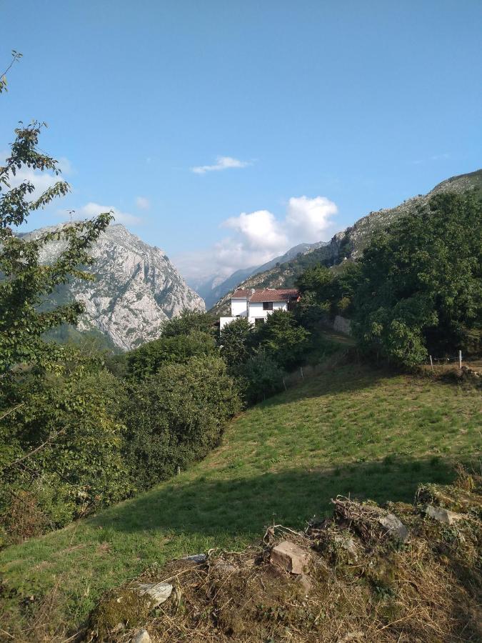 Bed and Breakfast Vis 101 Vista  Экстерьер фото