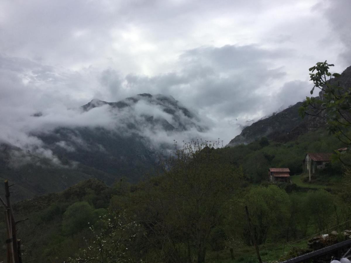 Bed and Breakfast Vis 101 Vista  Экстерьер фото