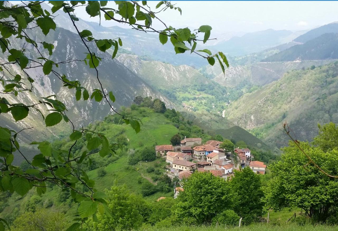 Bed and Breakfast Vis 101 Vista  Экстерьер фото