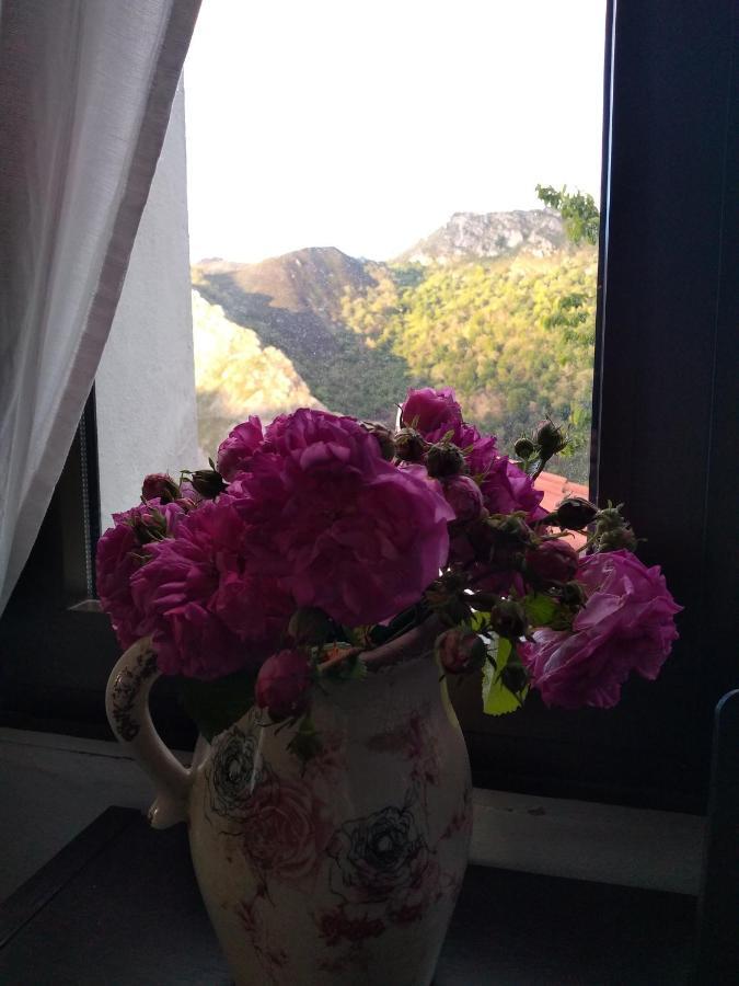 Bed and Breakfast Vis 101 Vista  Экстерьер фото