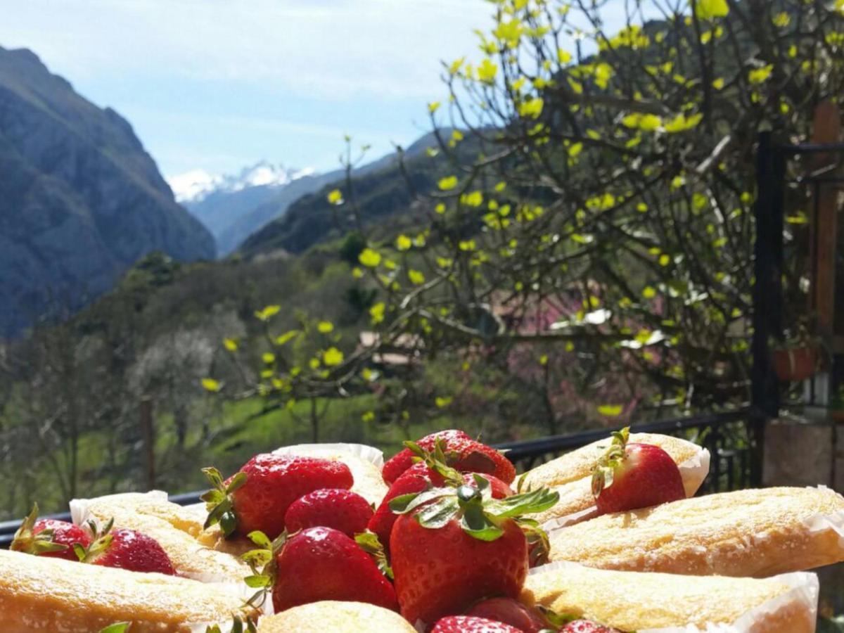 Bed and Breakfast Vis 101 Vista  Экстерьер фото